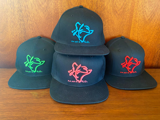 Embroidered Snapback Hat Black w/ Colored Embroidery