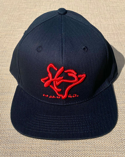 Embroidered Snapback Hat Black w/ Colored Embroidery